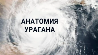 Анатомия урагана