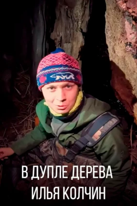 В дупле дерева - Илья Колчин