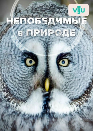 Непобедимые в природе