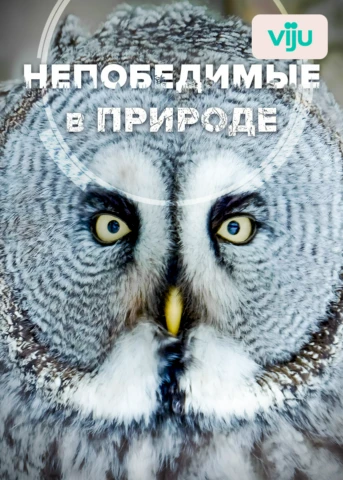 1 серия