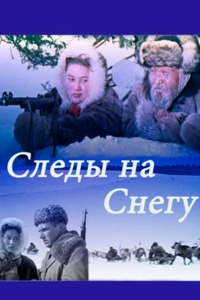 Следы на снегу