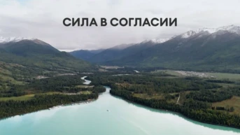Сила в согласии