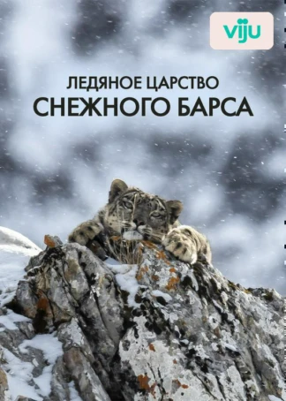 Ледяное королевство снежного леопарда