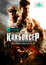 Кикбоксер возвращается