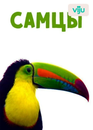 Самцы