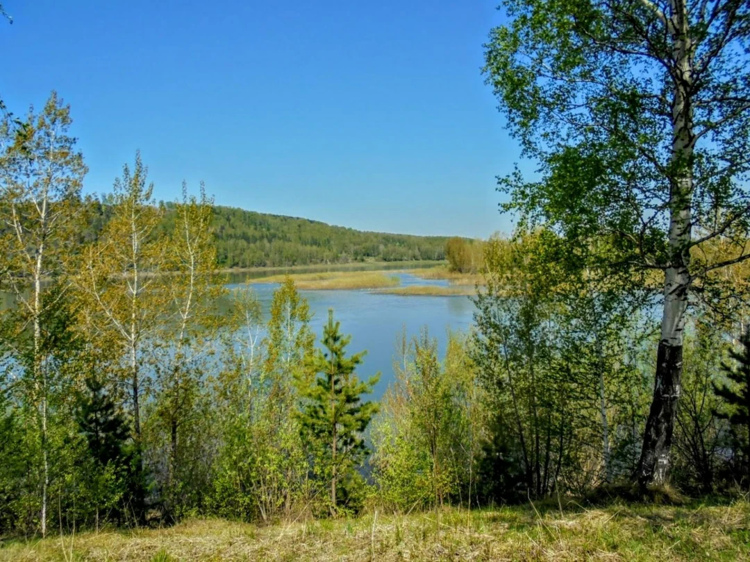 Передача Верхотомский ручей