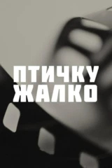 Птичку жалко