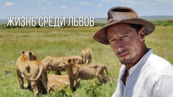 Жизнь среди львов