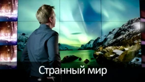 1-я серия