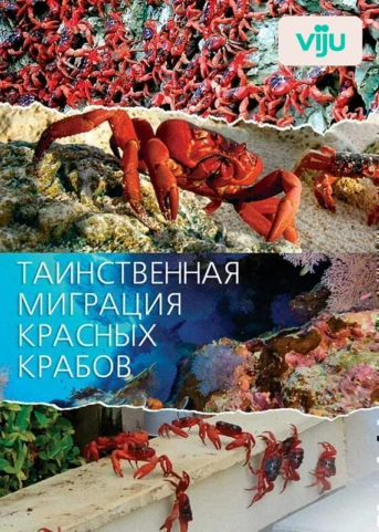 1 серия