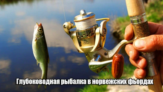 Глубоководная рыбалка в норвежских фьордах