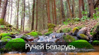 Ручей Беларусь