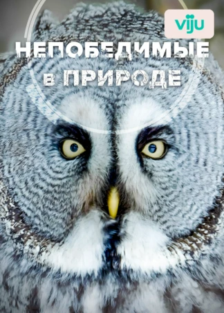 Непобедимые в природе