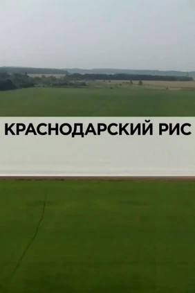 Краснодарский рис