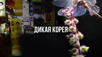 Дикая Корея