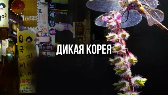 Дикая Корея