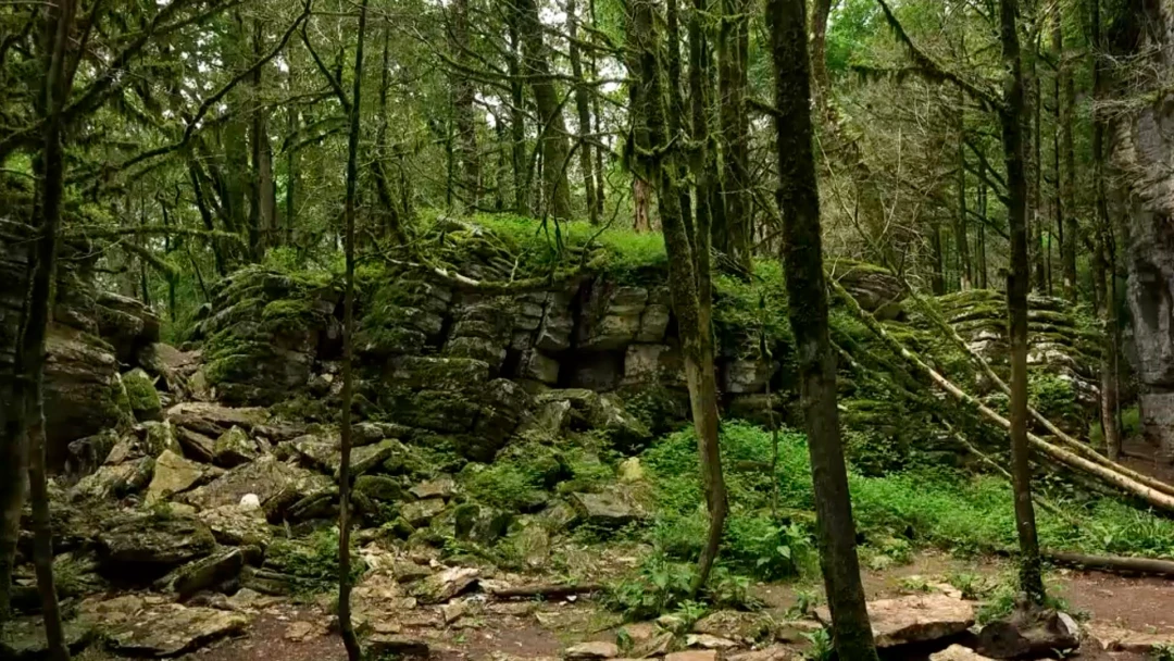 Передача Сухой каньон Псахо