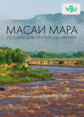 Масаи Мара. Истории дикой природы Африки