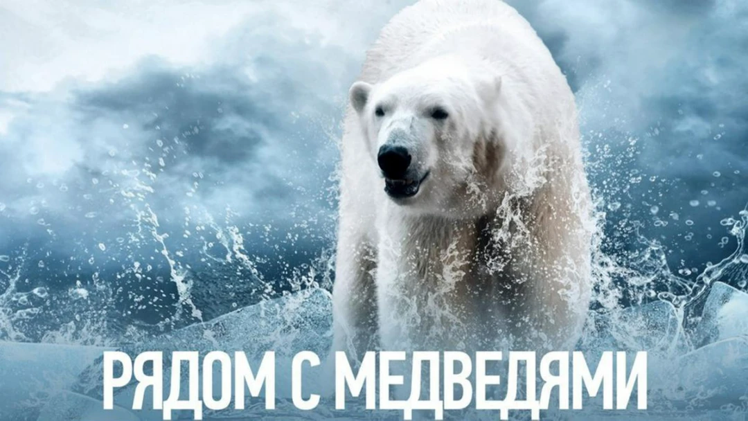 Фильм Рядом с медведями
