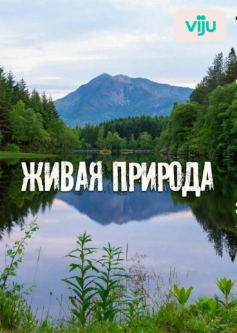 Водопады. Красота и сила стихии
