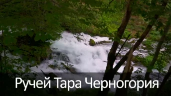 Ручей Тара Черногория
