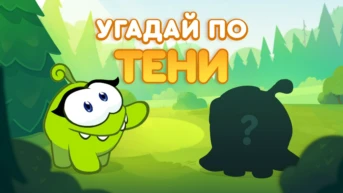 Угадай по тени