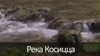 Река Косицца