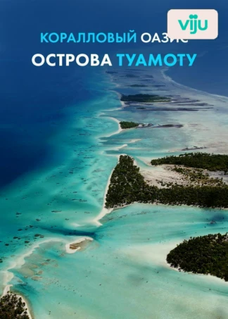 Коралловый оазис острова Туамоту
