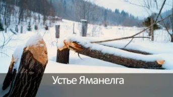 Устье Яманелга