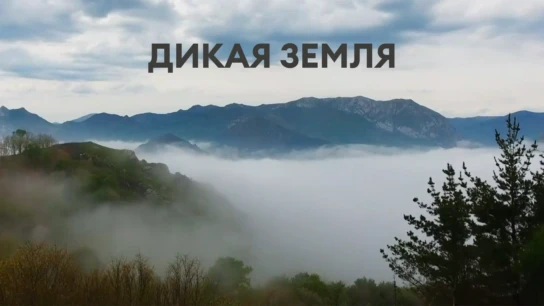 Дикая земля