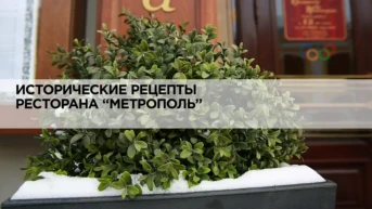 Исторические рецепты ресторана «Метрополь»