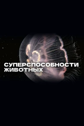 Суперспособности животных