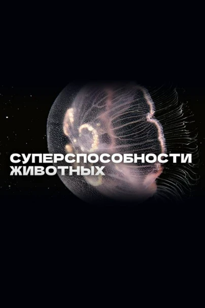 Суперспособности животных