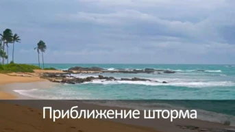 Приближение шторма