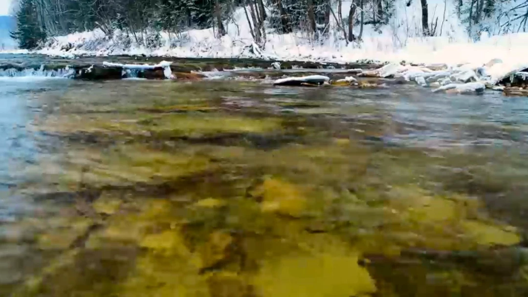 Передача Река Сарва