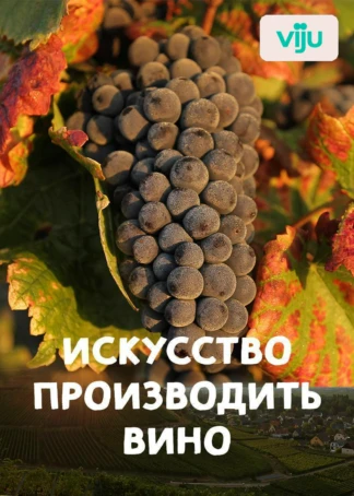 Искусство производить вино