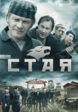 Стая