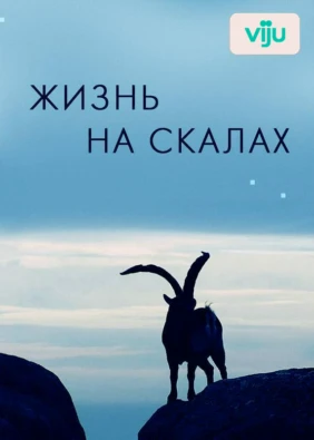 Жизнь на скалах