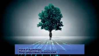 Нули и единицы. Мир цифровых технологий