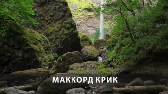 МакКорд крик