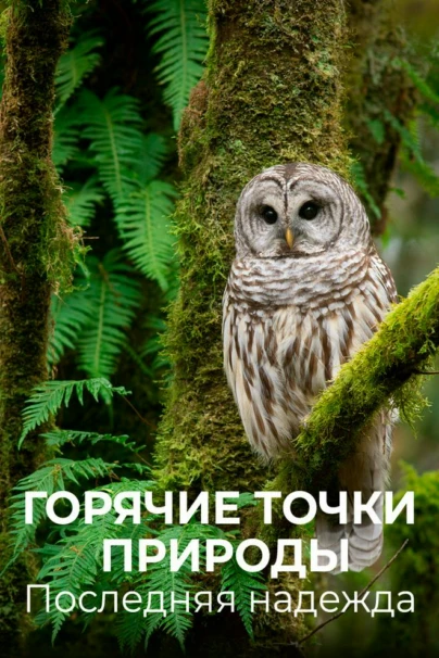 Горячие точки природы. Последняя надежда