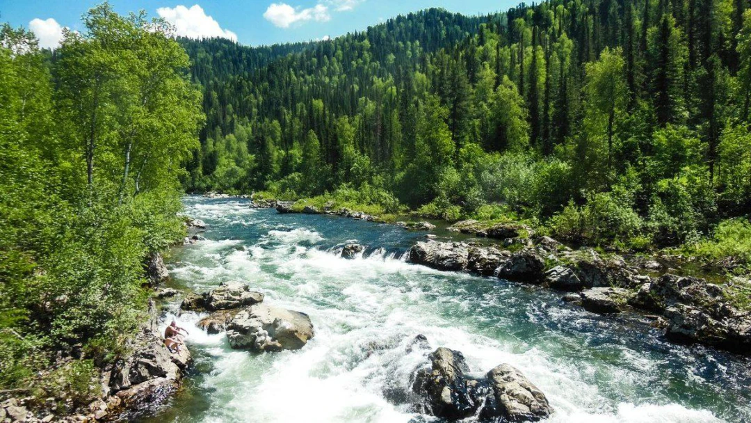 Передача Казыр