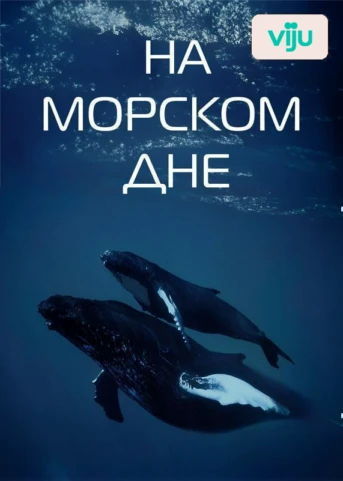 1 серия