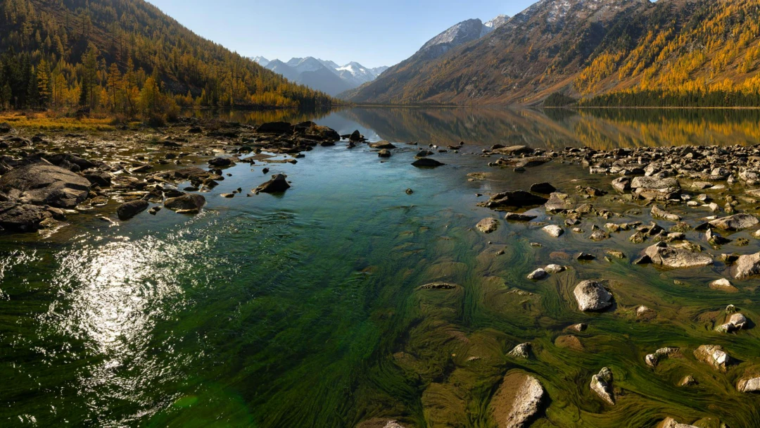 Передача Нижнее мультинское озеро
