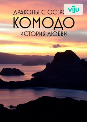 Драконы с острова Комодо. История любви