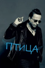 Птица