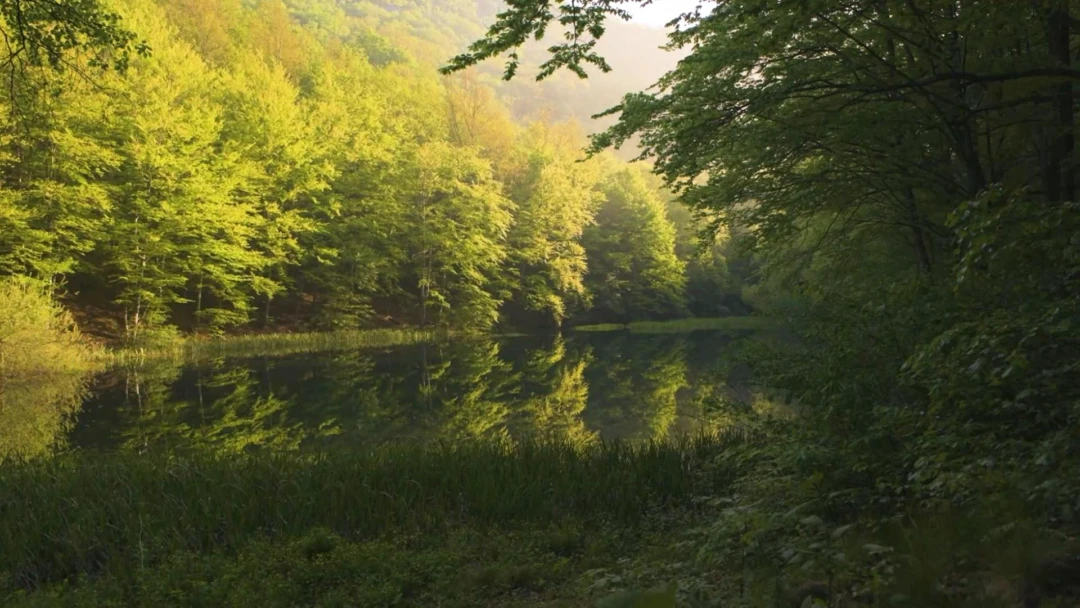 Передача Река Грза Сербия