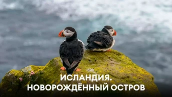 Исландия. Новорождённый остров