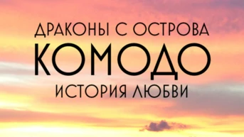 Драконы с острова Комодо. История любви