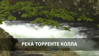 Река Торренте Колла